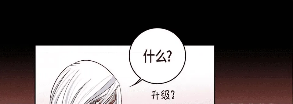 第217页