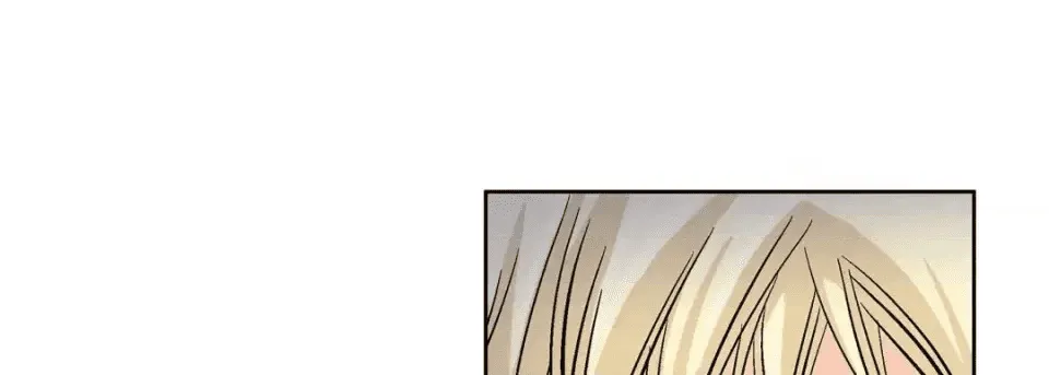 第221页