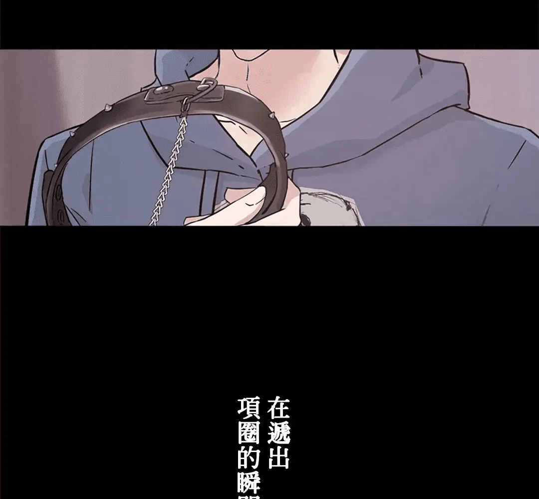 第205页