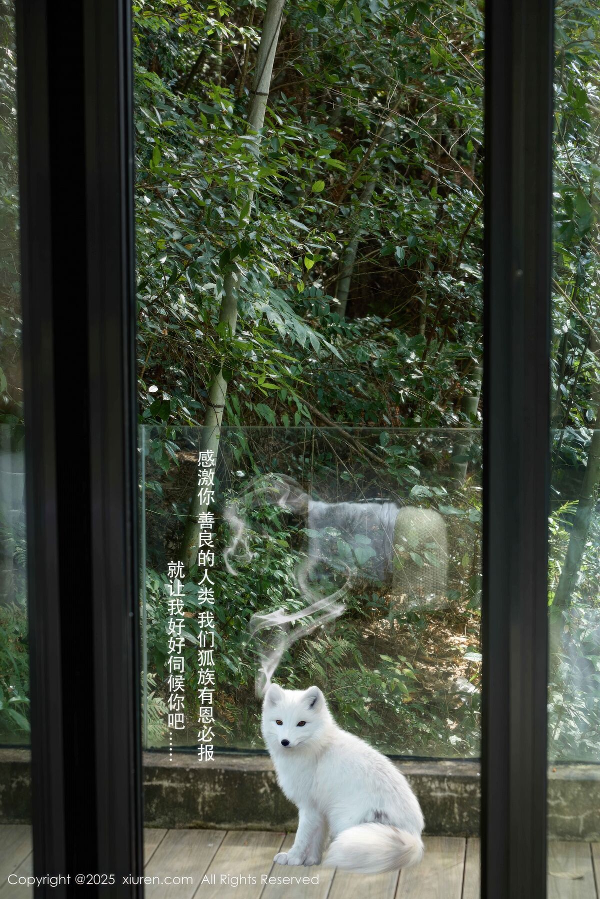 XiuRen秀人网 No.11068 Yin Tian Tian Sunny (56P)